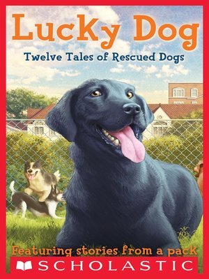 cover image of Lucky Dog